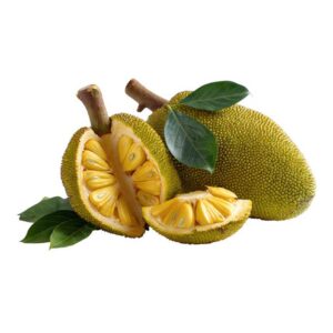 Jackfruit Lb