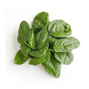 Malabar Spinach Lb