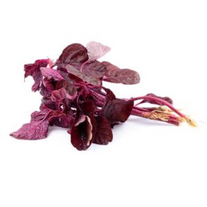 Red Amaranth Lb