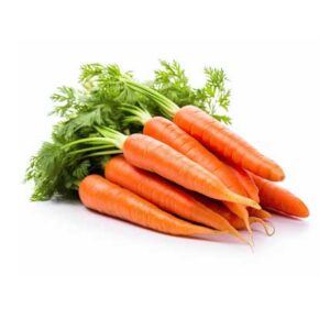 Carrot Lb