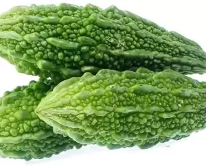 Bitter Gourd Lb