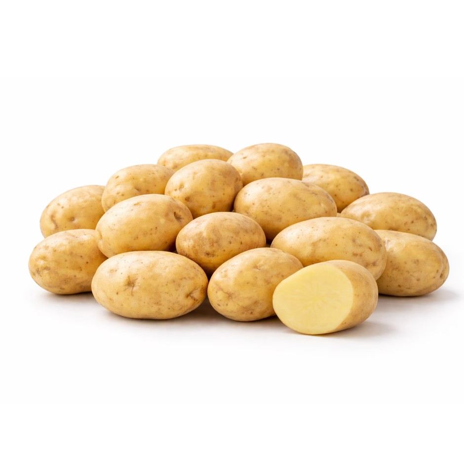 golden potato Lb