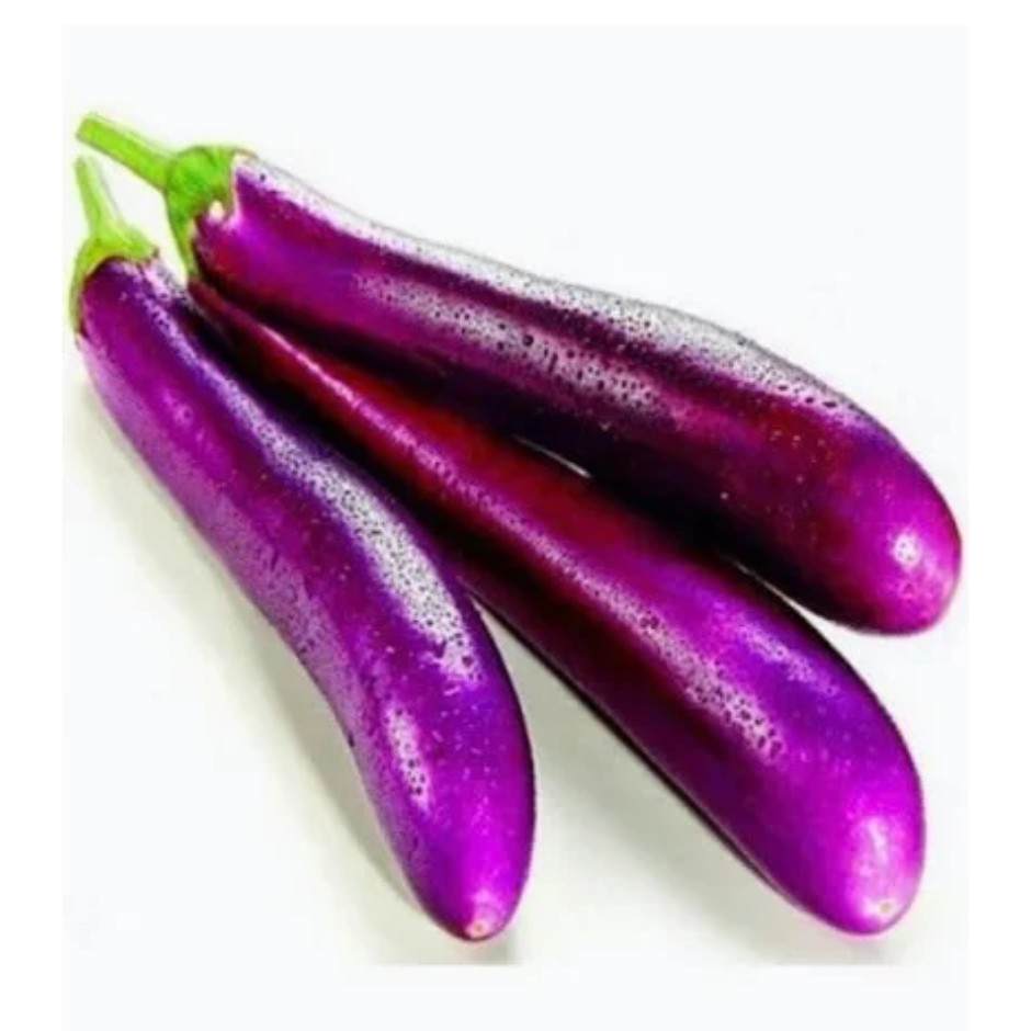 long chinese eggplant