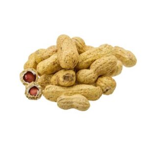 Fresh Peanut Lb
