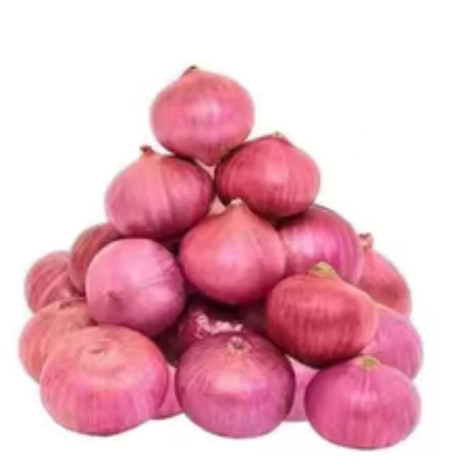shallot