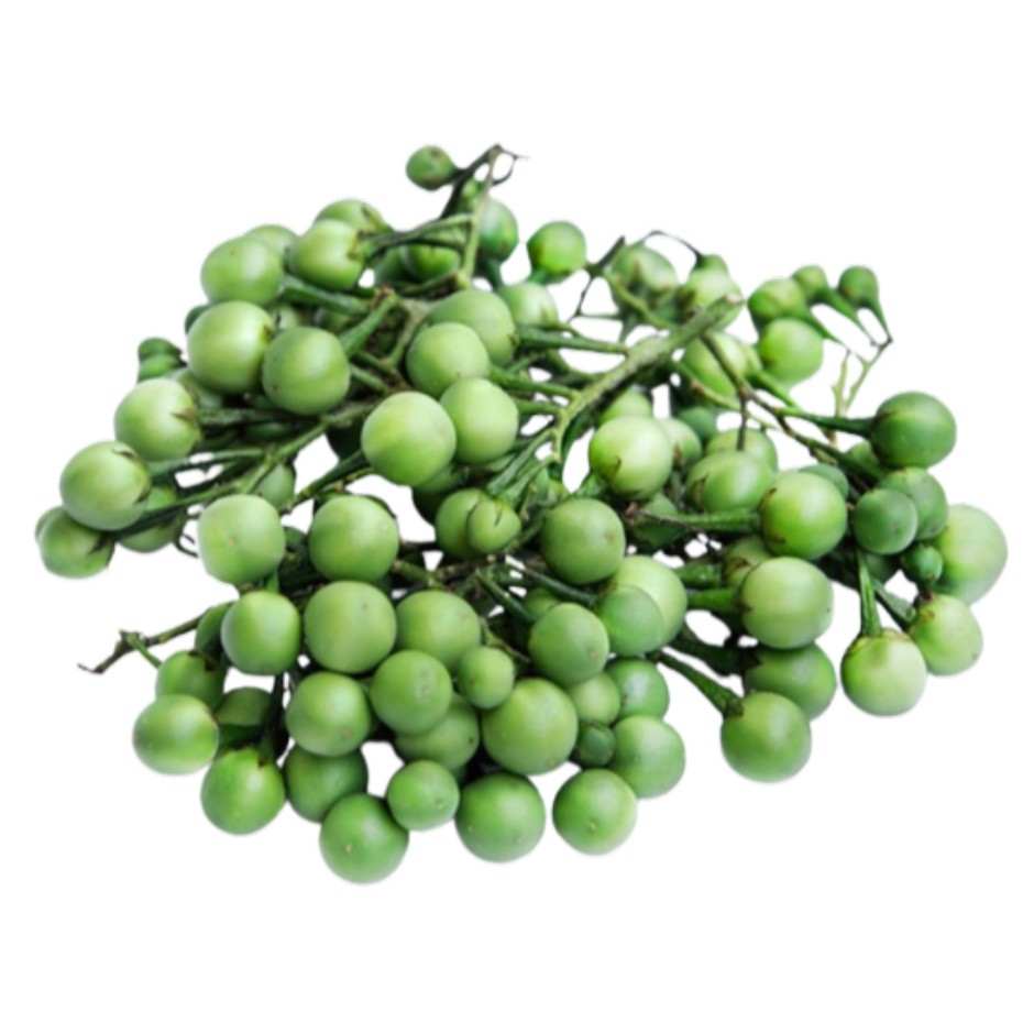 sundakkai-turkey-berry