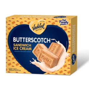 Vadilal Butterscotch Sandwich Ice Cream 300Ml