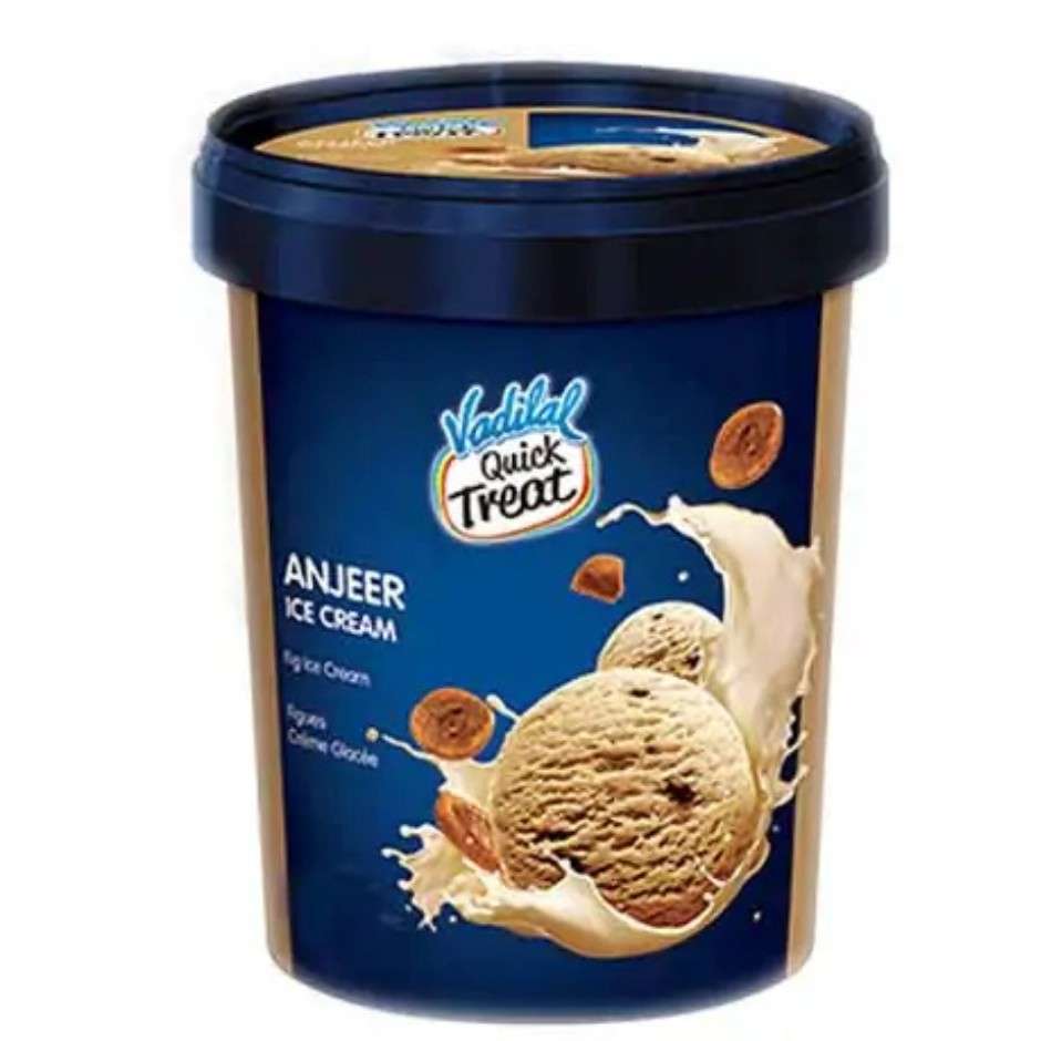 Vadilal ice cream anjeer 500ml