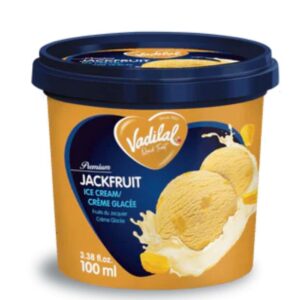 Vadilal Jackfruit 100ml