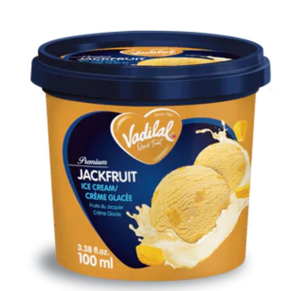 vadilal jackfruit 100ml