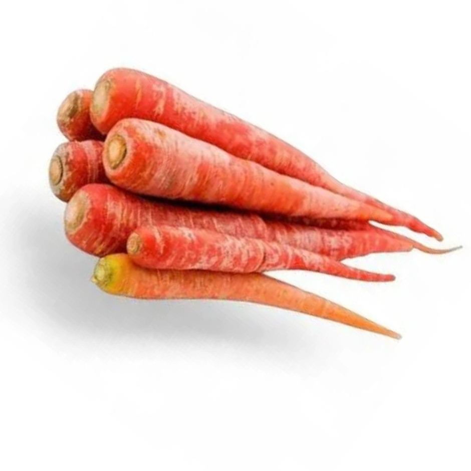 Indian Carrot Lb
