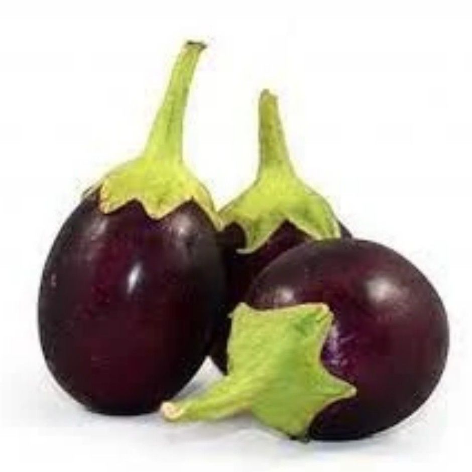Indian eggplant