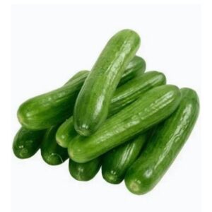 Persian Cucumber Lb