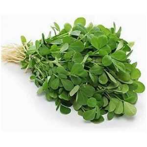 Methi leaves bunch