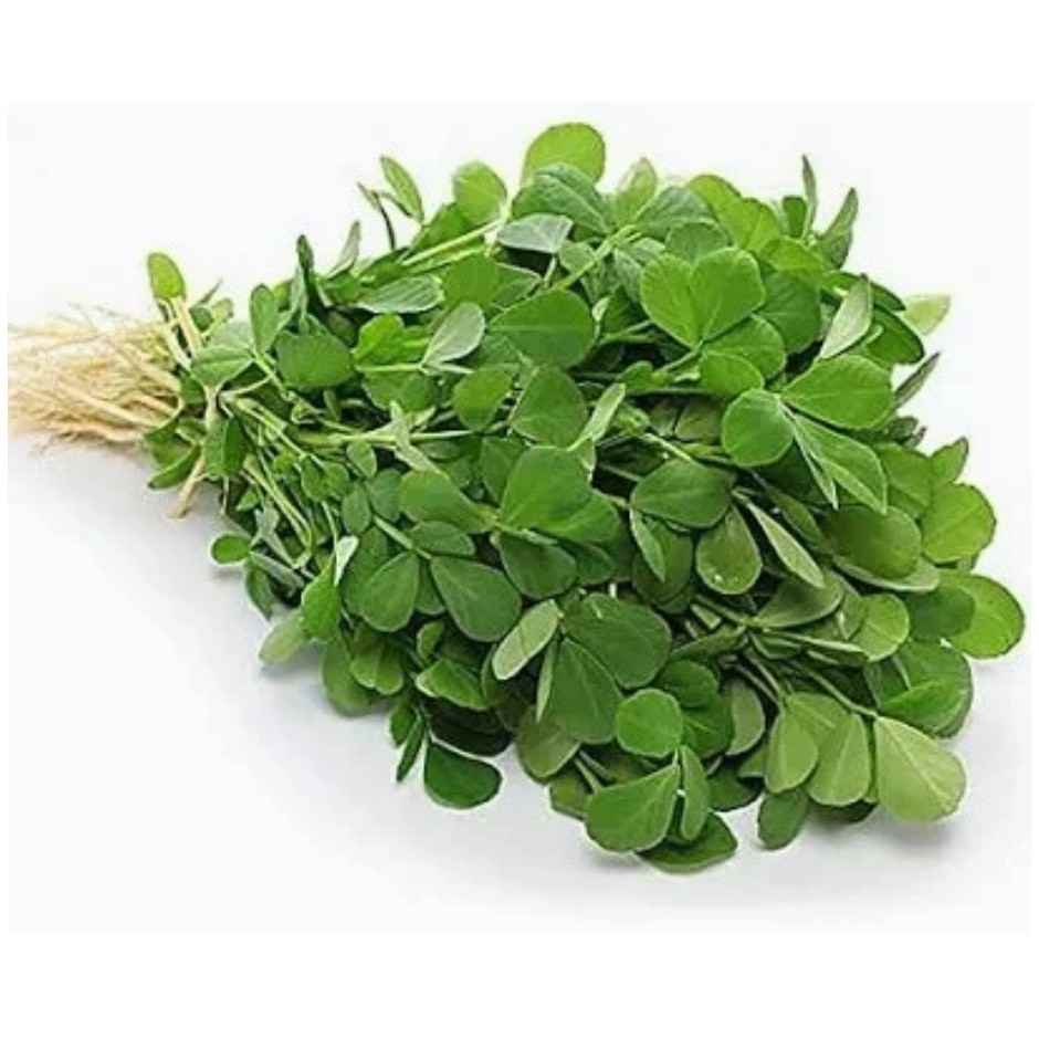 methi leaves bunch